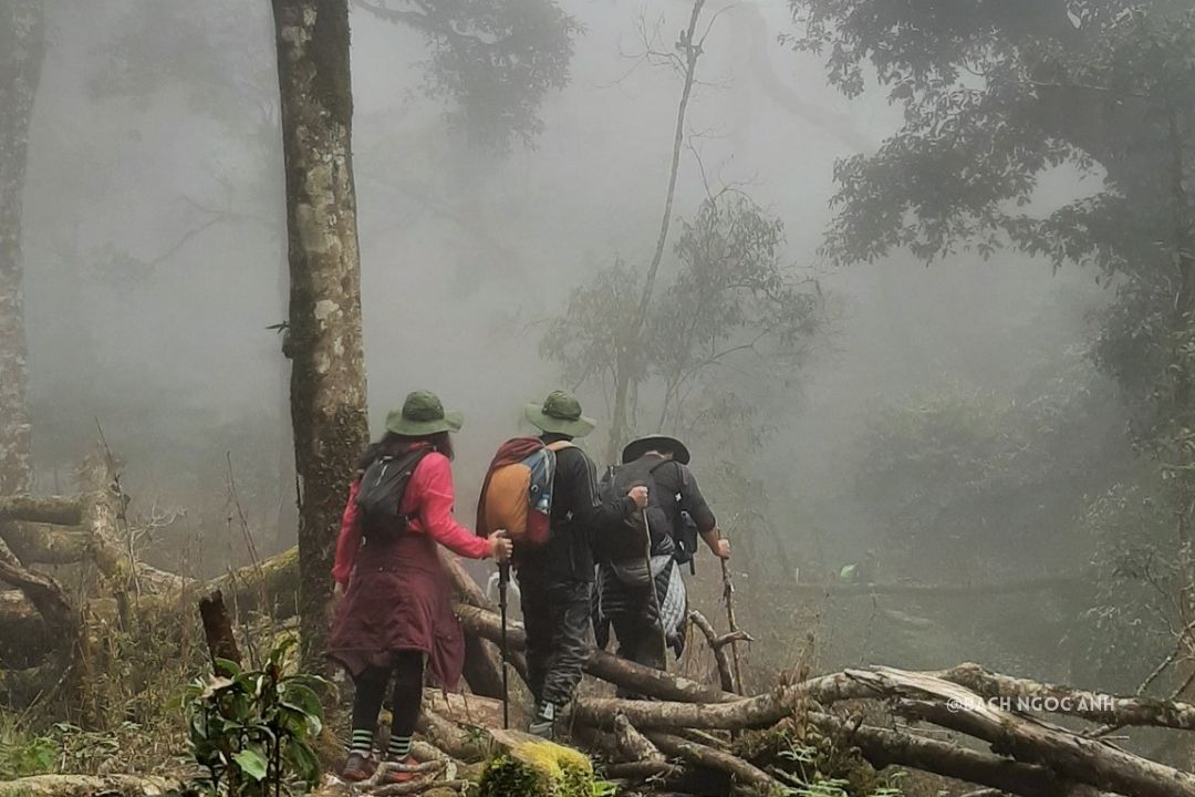 Mountain Ta Xua Trekking Tour 3 Days